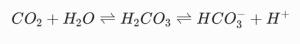 Carbonic anhydrase