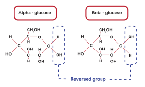 Classification of Monosaccharides