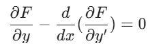 Euler-Lagrange Condition