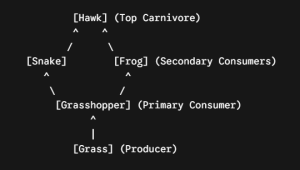 Food Chains