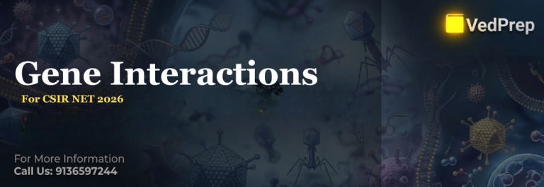 Gene Interactions