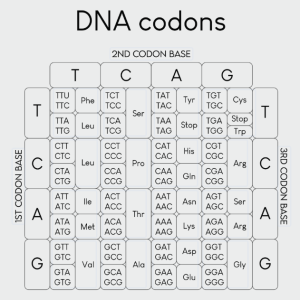 Genetic Code.,