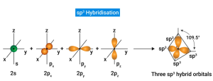 Hybridization