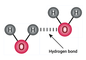 Hydrogen Bond