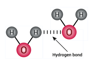 Hydrogen Bonding
