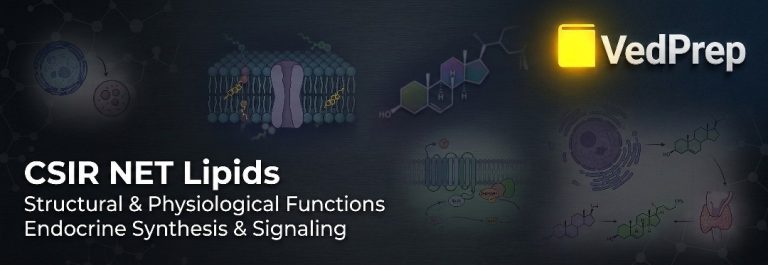 Lipids: Master 2026's Best CSIR NET Guide