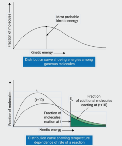 Maxwell-Boltzmann Distribution Law