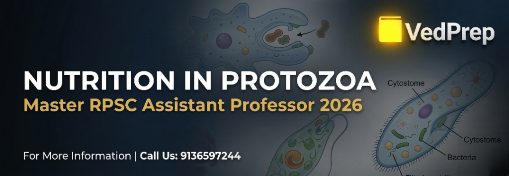 Nutrition in Protozoa