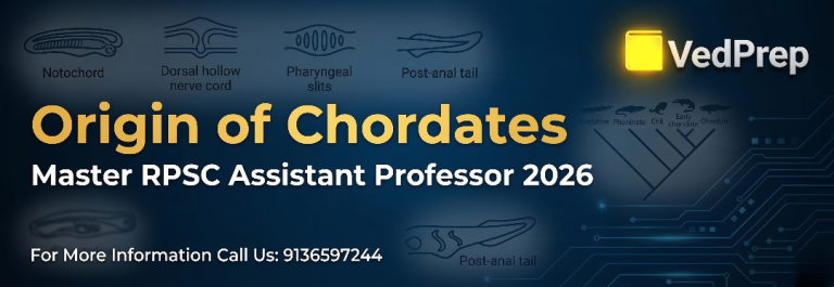 Origin of Chordates