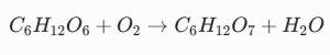 Oxidation of Glucose