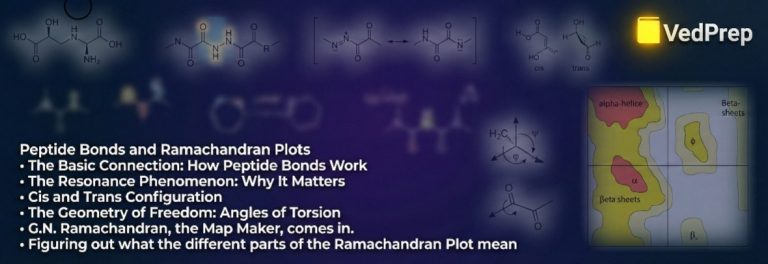 Peptide bonds