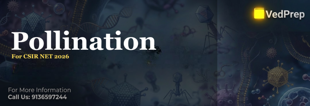 Pollination
