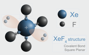 Square Planar Complexes