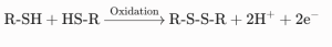 Structure of an Amino Acid
