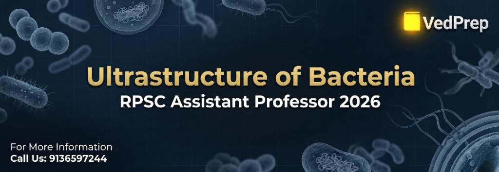 Ultrastructure of Bacteria