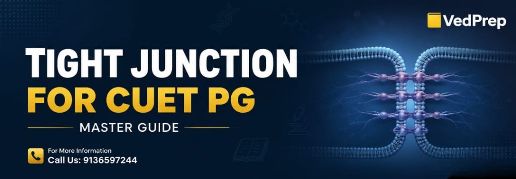 tight junction for cuet pg