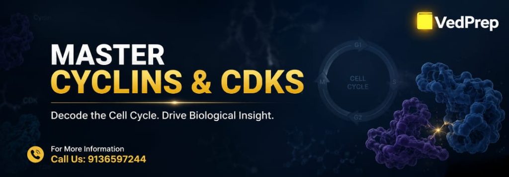 cyclins and CDKs for CUET PG