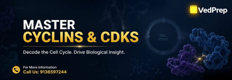 cyclins and CDKs for CUET PG