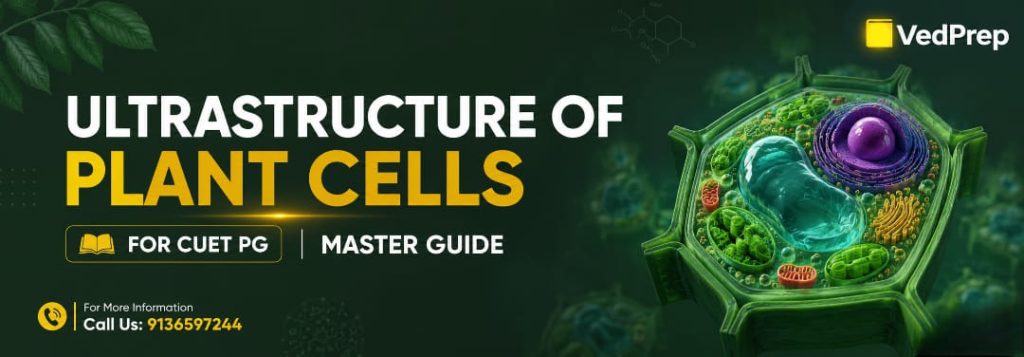 Ultrastructure of Plant Cell For CUET PG
