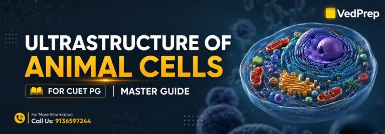 Ultrastructure of Animal Cells for CUET PG