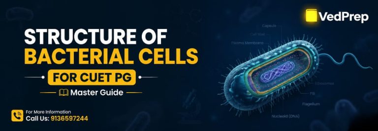 Structure Of Bacterial Cells For CUET PG 2027