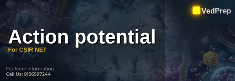 Action Potential
