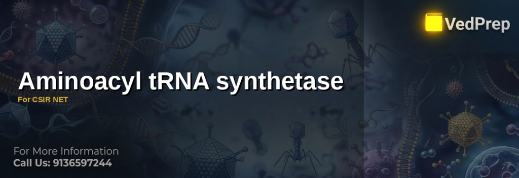Aminoacyl tRNA Synthetase