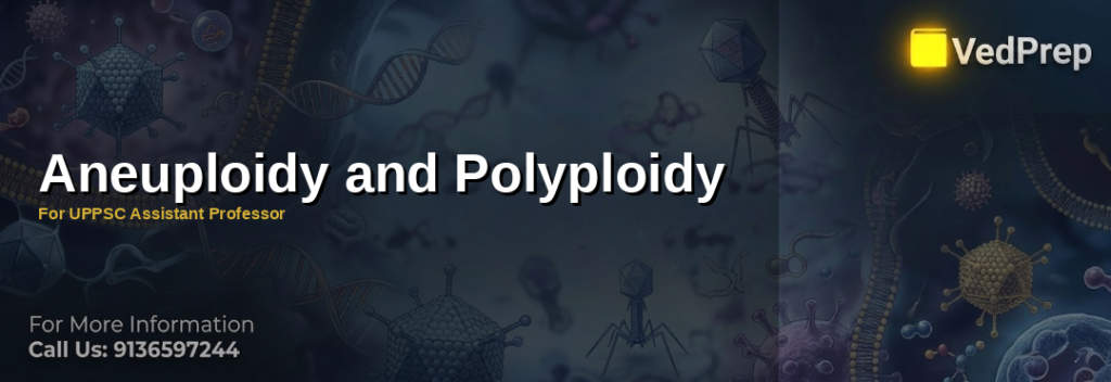 Illustration showing aneuploidy and polyploidy chromosomal abnormalities with labeled cells and genetic structures