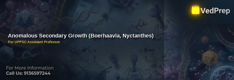 Diagram of Anomalous Secondary Growth in Boerhaavia and Nyctanthes plants showing irregular cambium activity and tissue formation