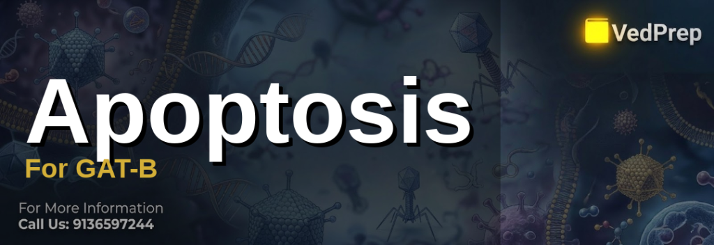 Programmed cell death mechanisms illustrated with apoptosis pathways for GAT-B preparation