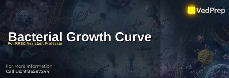 A detailed graph illustrating the four phases of bacterial growth curve with labeled lag, exponential, stationary, and death phases