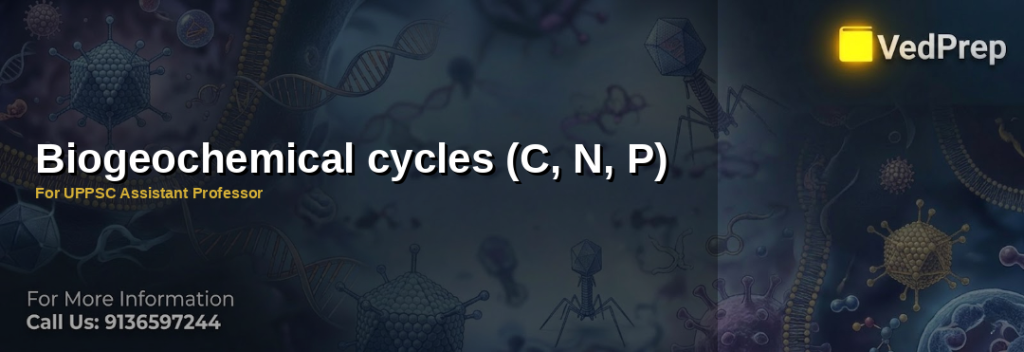 Illustration showing biogeochemical cycles of carbon, nitrogen, and phosphorus in ecosystems