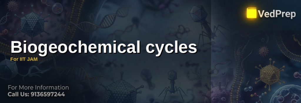 biogeochemical cycles for iit jam