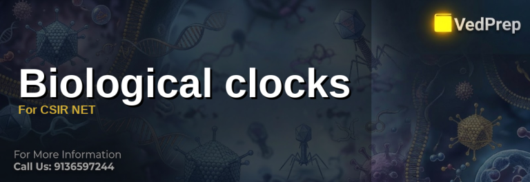 Biological clocks