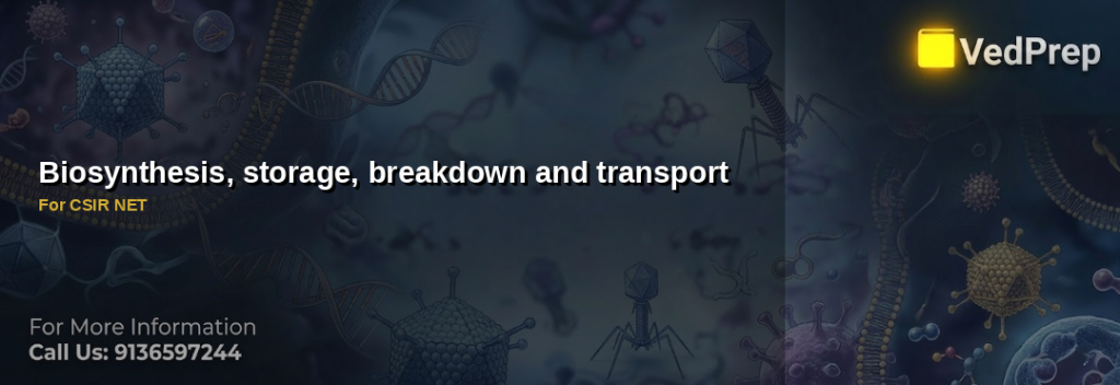 Biosynthesis, storage, breakdown and transport