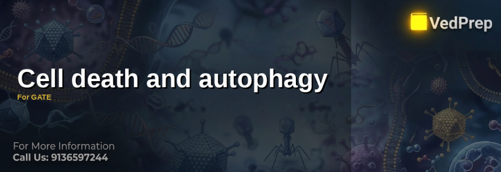 Cell death and autophagy