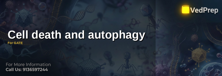 Cell death and autophagy
