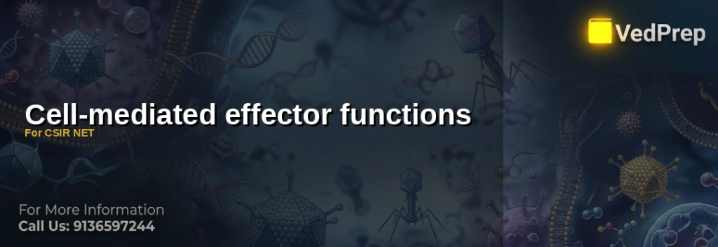 Cell-mediated effector functions