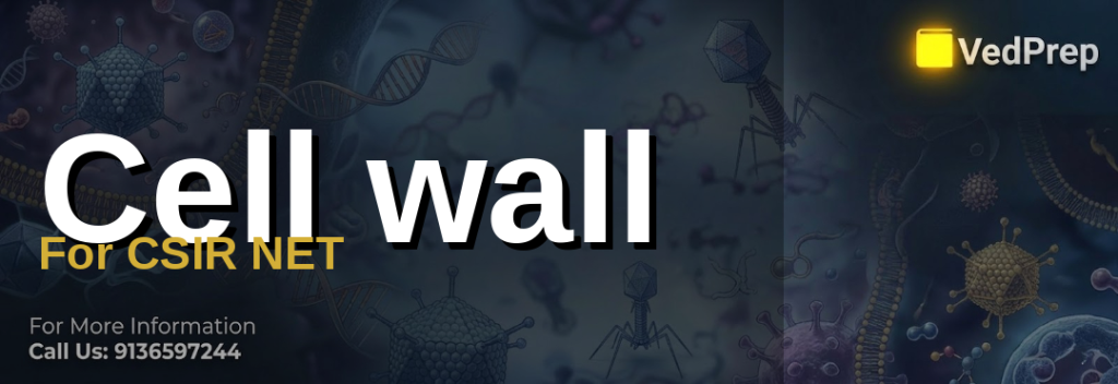 cell wall