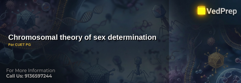 Illustration showing X and Y chromosomes explaining the chromosomal theory of sex determination for CUET PG preparation