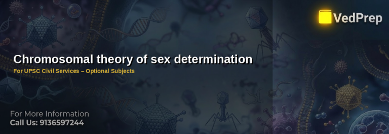 Illustration explaining the chromosomal theory of sex determination with XX and XY chromosomes