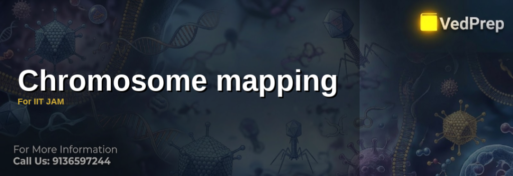Chromosome mapping
