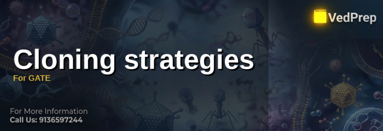Cloning strategies