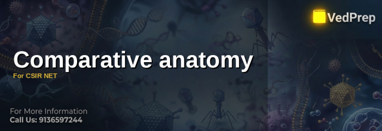 Comparative Anatomy
