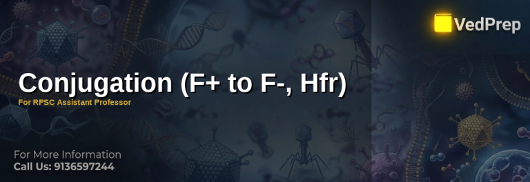 bacterial conjugation mechanisms explained – VedPrep exam preparation guide