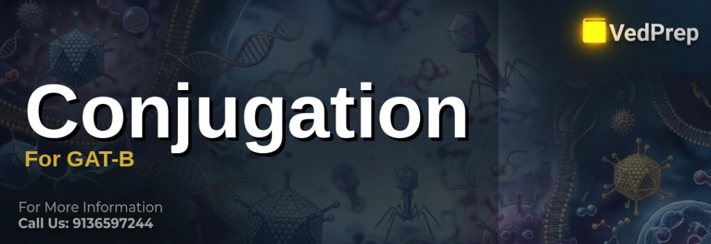 Illustration showing bacterial conjugation basics with donor and recipient cells connected by conjugation pilus