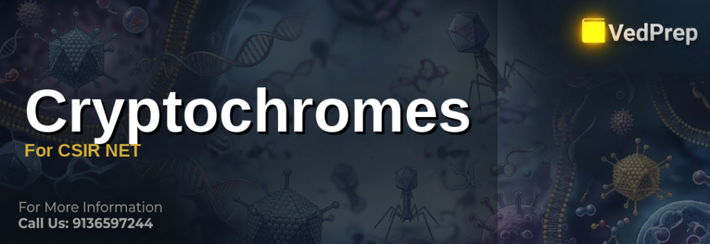 Cryptochromes