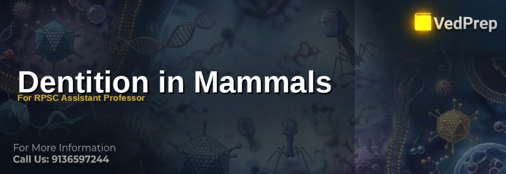 Dentition in Mammals