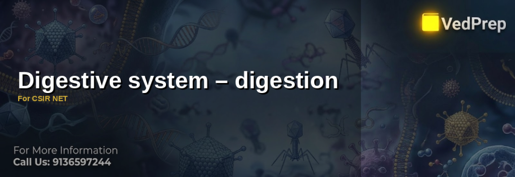 Digestive system digestion
