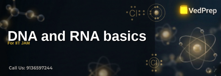 DNA and RNA basics